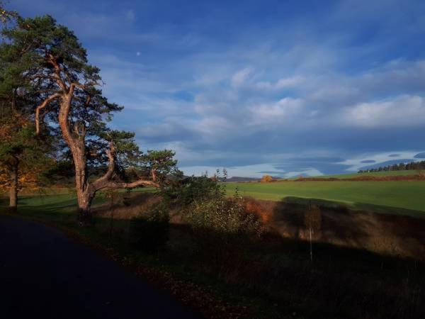 Pokoje Goscinne U Reni Wambierzyce Buitenkant foto