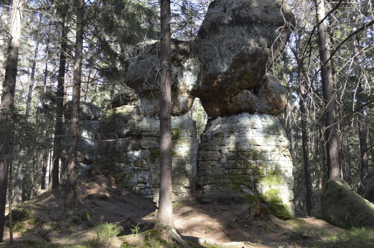 Pokoje Goscinne U Reni Wambierzyce Buitenkant foto